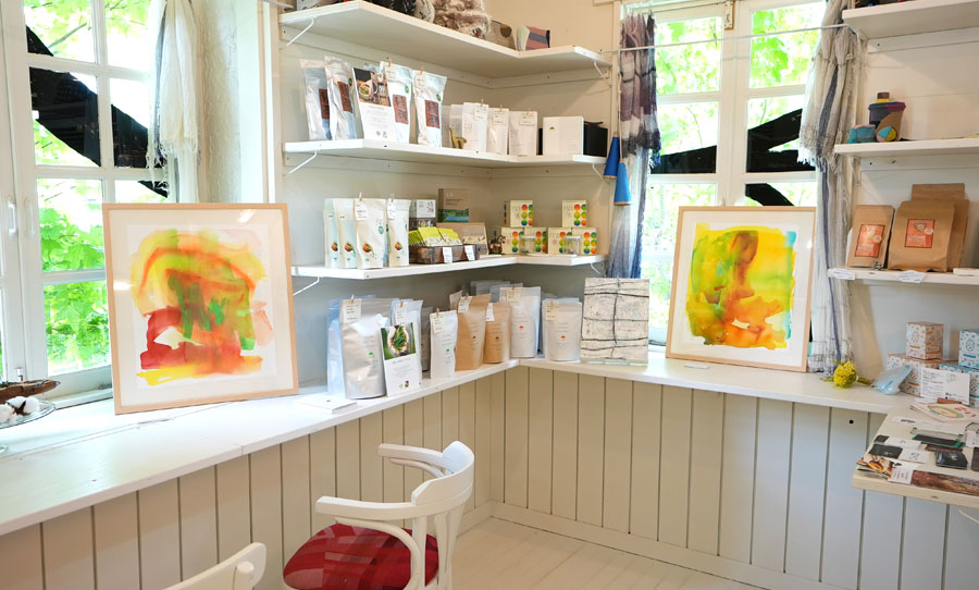 2023 tamaki niime shima／兵庫