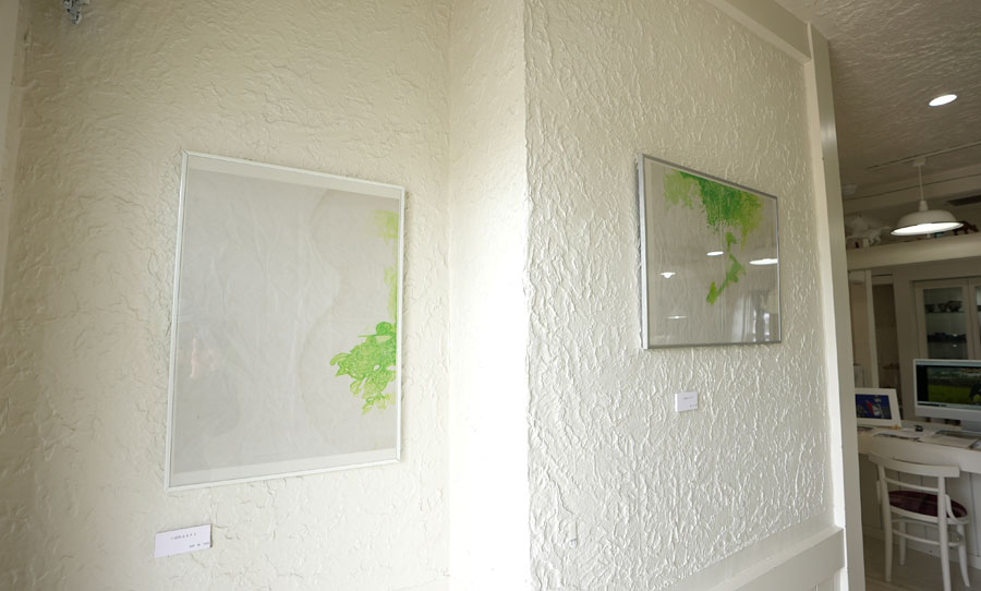 2023 tamaki niime shima／兵庫