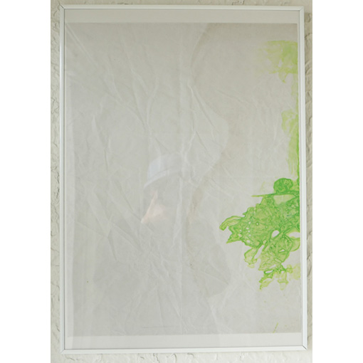 2023 tamaki niime shima／兵庫