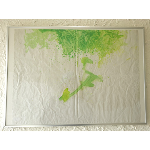 2023 tamaki niime shima／兵庫