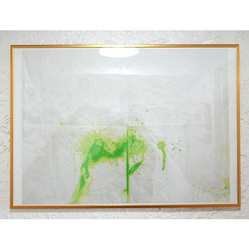 2023 tamaki niime shima／兵庫