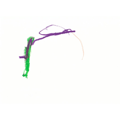 2023 tamaki niime shima／兵庫