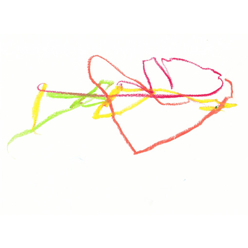 2023 tamaki niime shima／兵庫